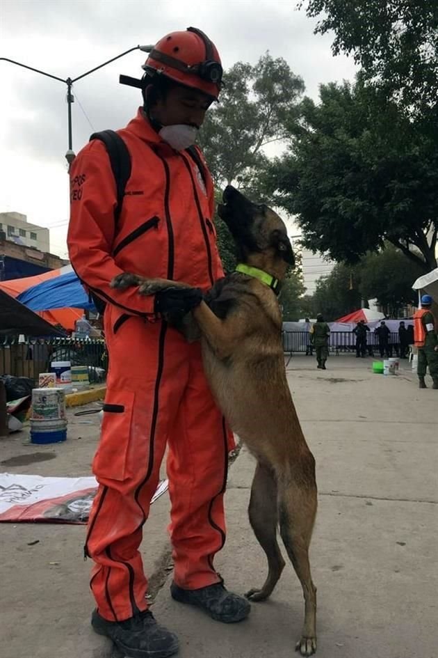 La perrita 'Shira' acompañó al equipo de Topos.