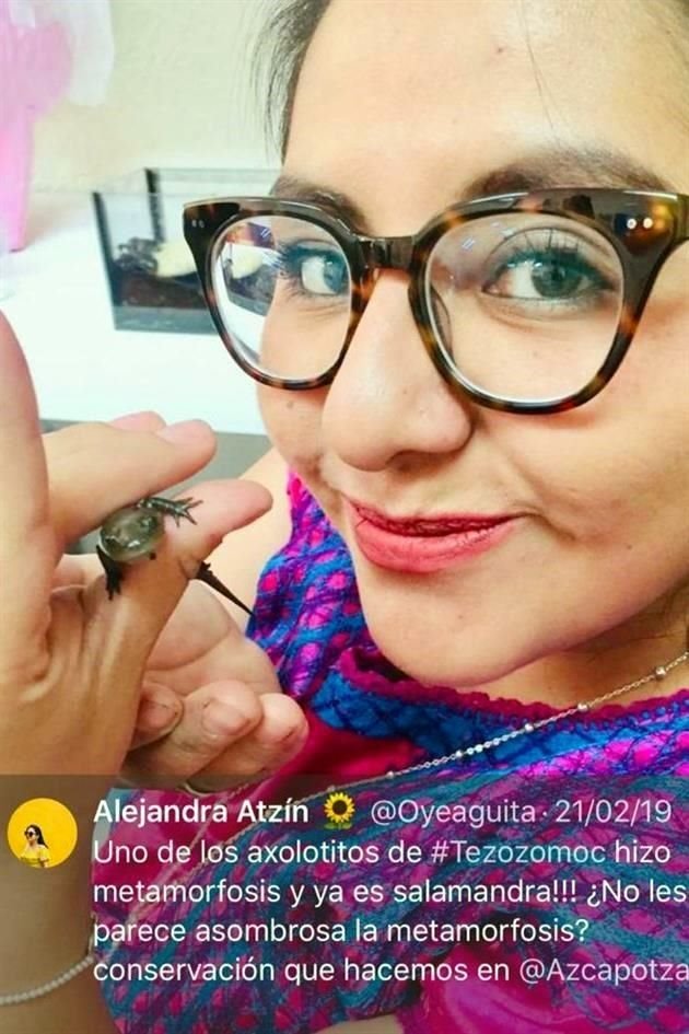 Sin ninguna protección y cuidado, la directora de Sustentabilidad de Azcapotzalco, Alejandra Atzín Ramírez Hernández, manipuló una especie en peligro de extinción.