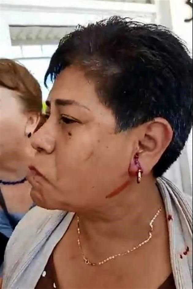 Rosalba Rodríguez López, diputada de Morena.