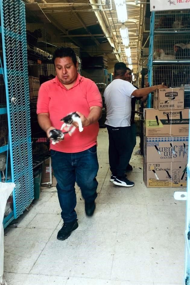 Comerciantes ofrecen una gallina por 100 pesos.