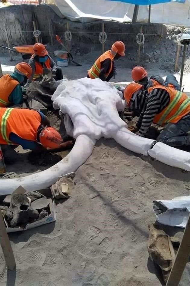 Los restos fueron hallados en la zona donde se construye el aeropuerto de Santa Lucía.