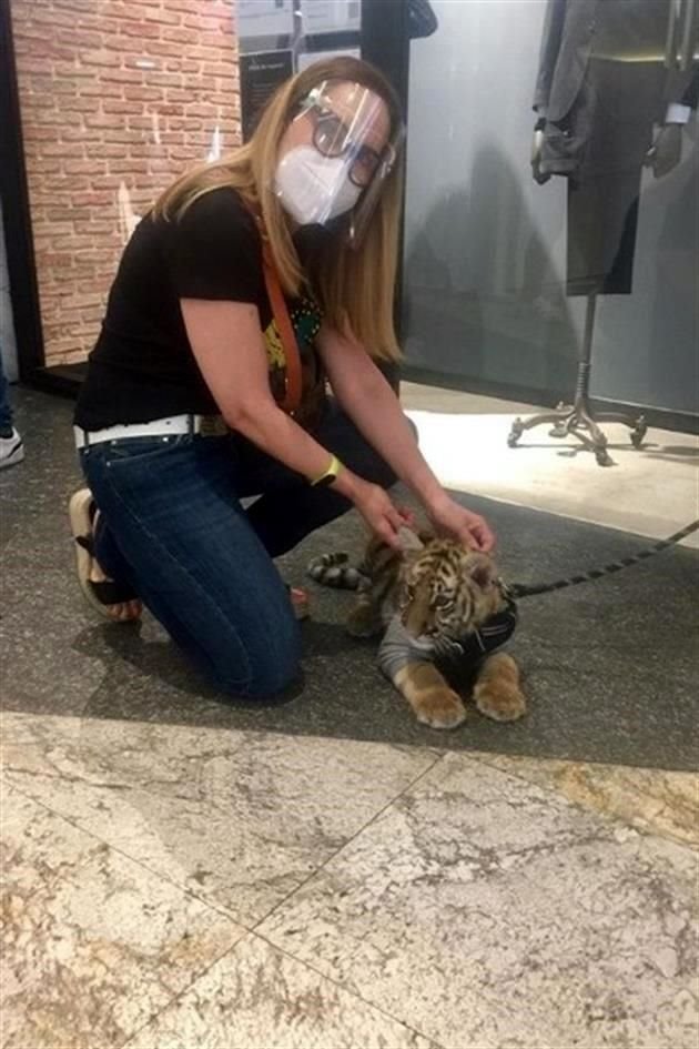El hecho fue registrado por usuarios de redes sociales. Una de ellas fue @ZaiPorras, quien explicó a este diario que el hecho ocurrió ayer.