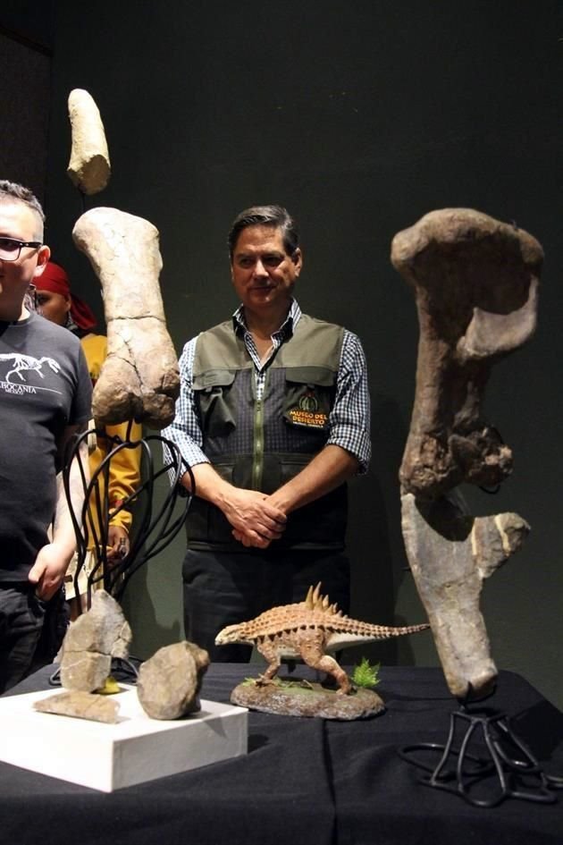 Los investigadores sólo contaban con partes de las extremidades posteriores y anteriores, así como unas vértebras del dinosaurio.