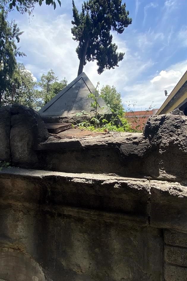 Además del daño notorio en la piedra, algunas tumbas presentan proliferación de especies vegetales.