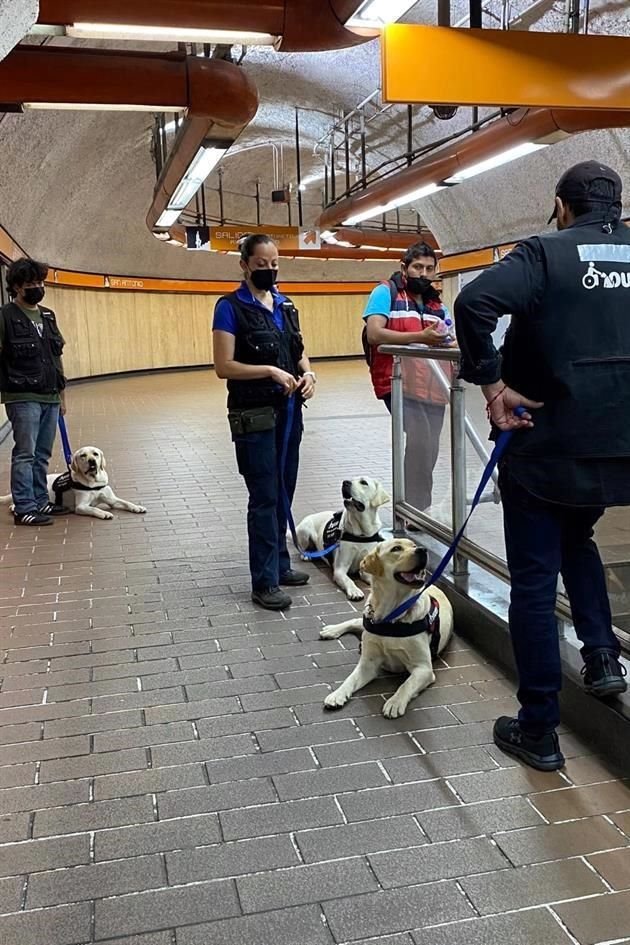 La Fundación Owen, encargada de entrenar a perros de asistencia, denunció que tres de sus guías caninos fueron desalojados del Metro.