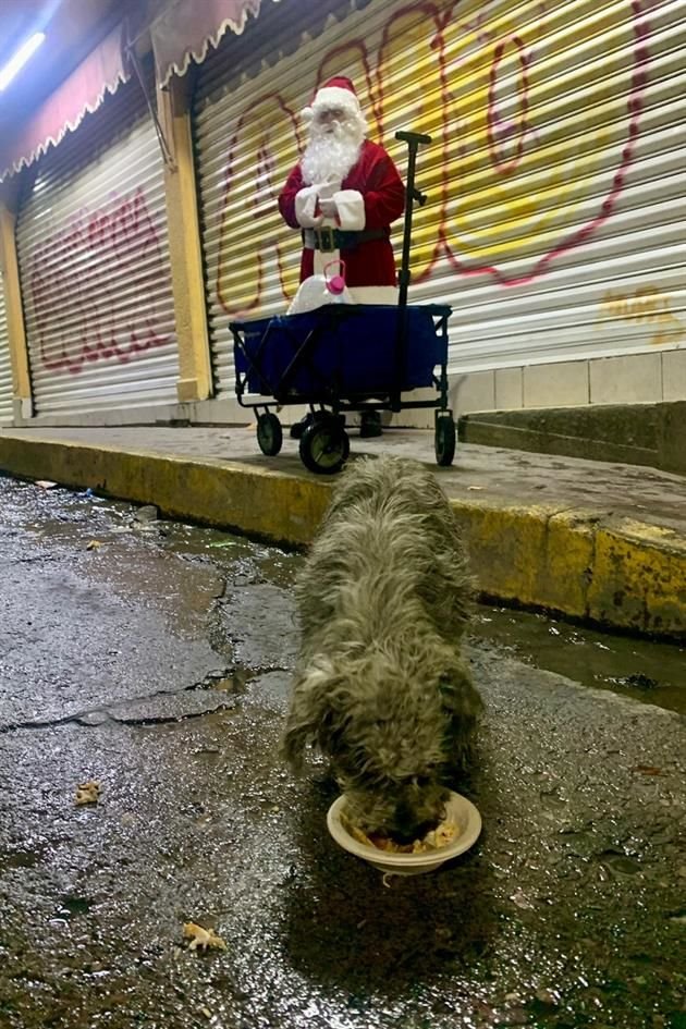 Yadira Olvera les dio pollo rostizado y croquetas a perros de la calle de Ecatepec.