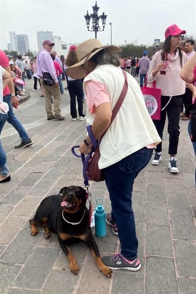 Además de personas de todas las edades, algunos llevaron a sus mascotas.