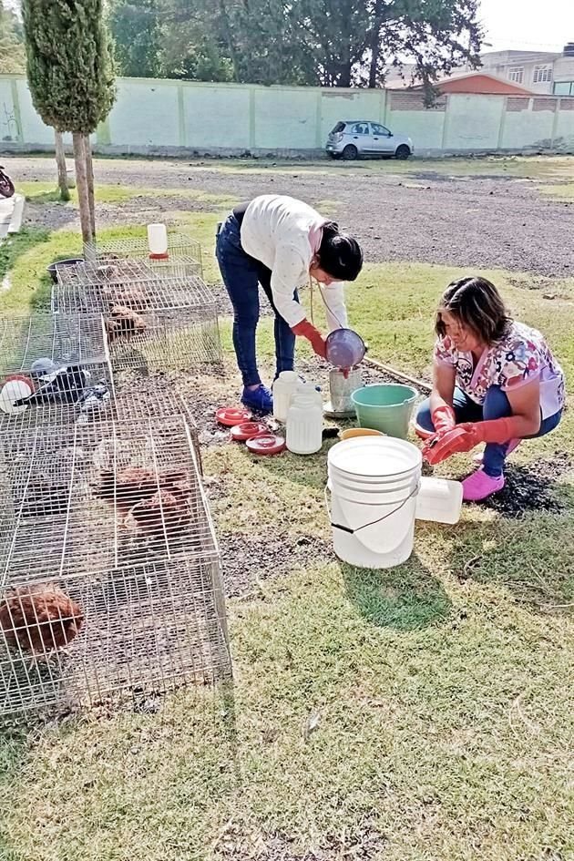 La Unidad de Protección Animal de Valle de Chalco rescató ayer a diversos animales que serían empleados en rituales de santería.