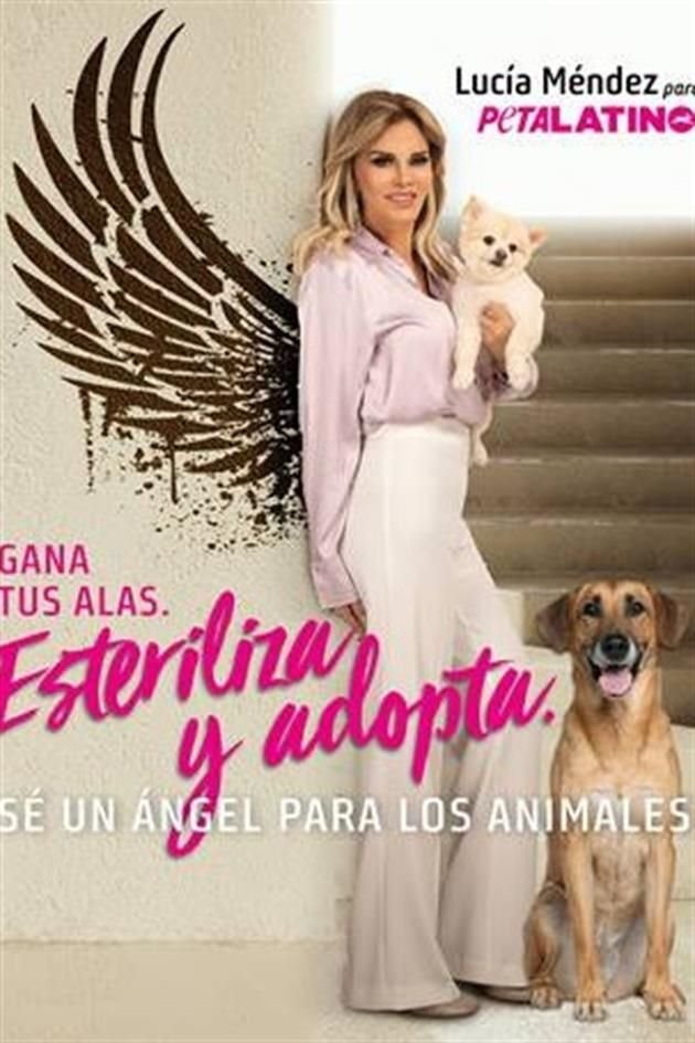 Lucía Méndez forma parte de la nueva campaña de PETA Latino que busca concientizar a las personas sobre el maltrato animal.