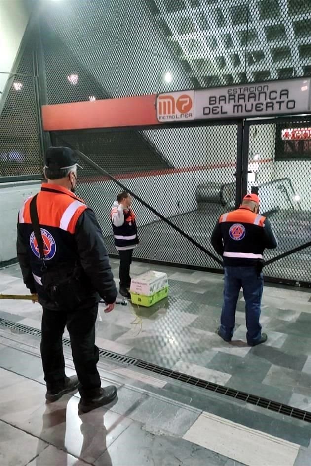 Personal del Metro realiza recorridos nocturnos para intentar dar con el cacomixtle.