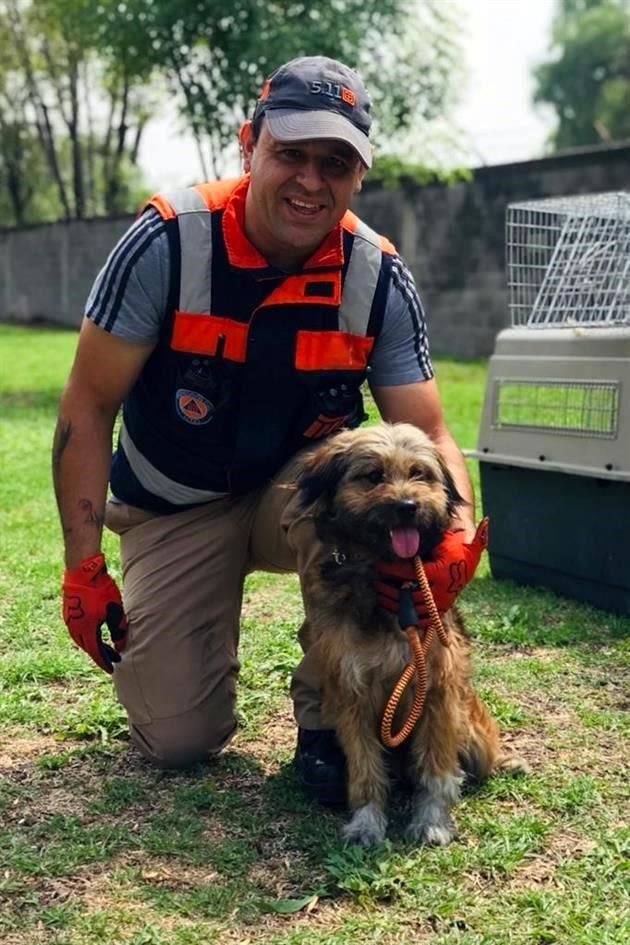 En caso de que los dueños de 'Nina' no sean encontrados, la perrita se pondrá en adopción.