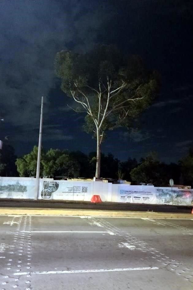 Con pancartas en contra de esta tala y deforestación de esta zona del bosque, donde se pretende colocar la estación Panteón de Dolores, habitantes se han reúnen para defender el árbol.