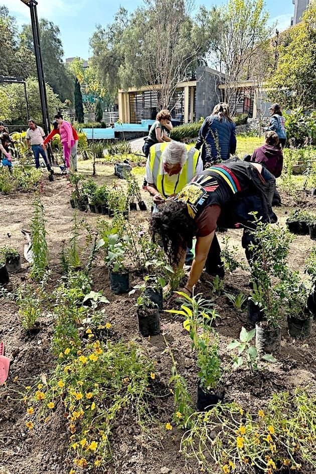 La organización Paraíso Colibrí ha promovido la instalación de 200 jardines para polinizadores.