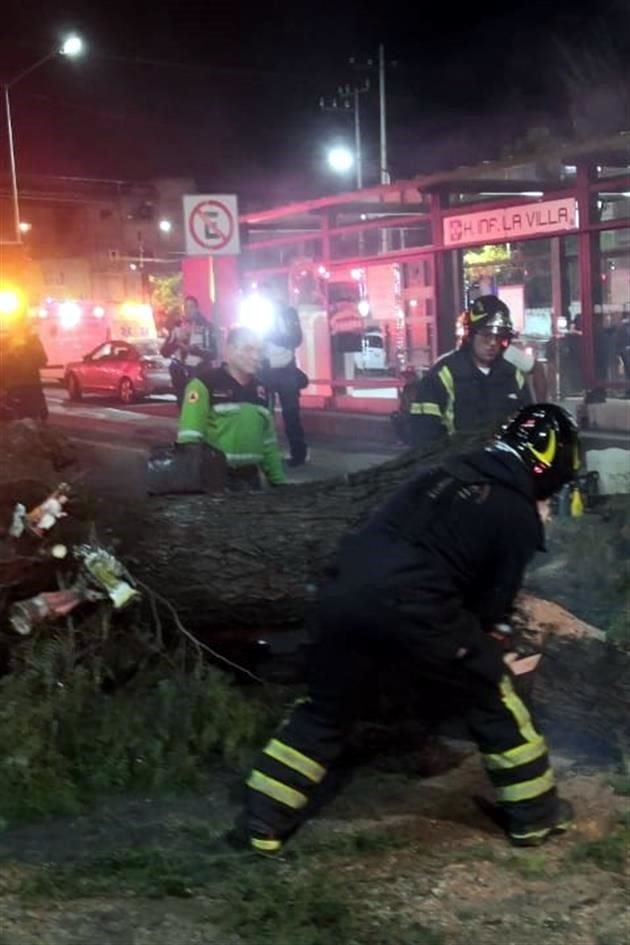 Personal de emergencias labora en el retiro del árbol.