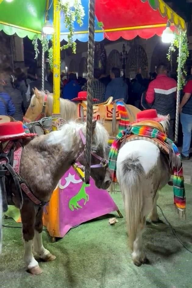 Los ponis eran utilizados en un carrusel de feria.