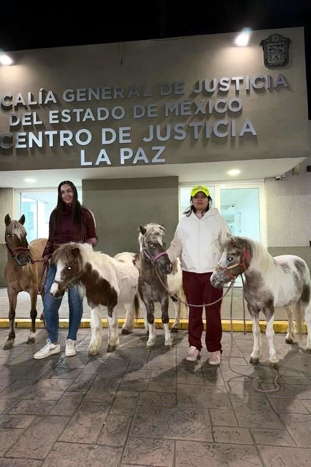 De acuerdo con la organización Seres Libres, los ponis se encontraban en malas condiciones de salud.