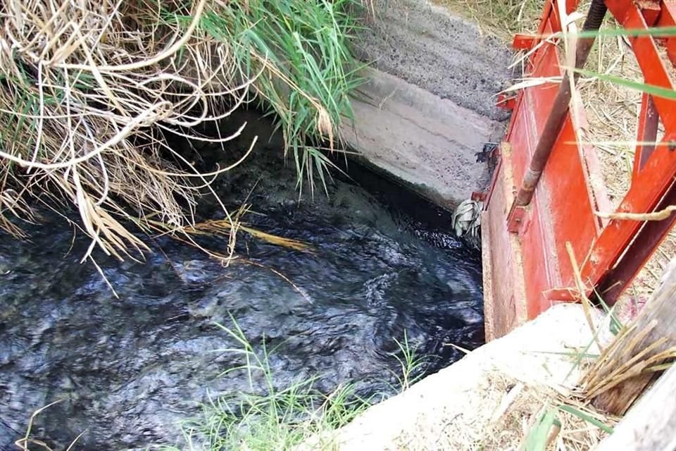 Esta compuerta, hecha para sacar el agua del sitio y dirigirla al ejido de Cuatro Ciénegas así como a varias comunidades fuera del valle (80km al este), fue clausurada recientemente por la CONAGUA.