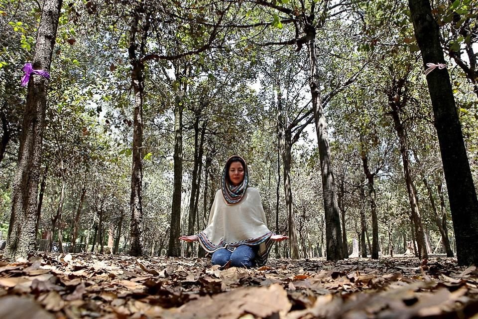 Un grupo de personas se reúne cada mes en los Viveros de Coyoacán para meditar con los árboles.