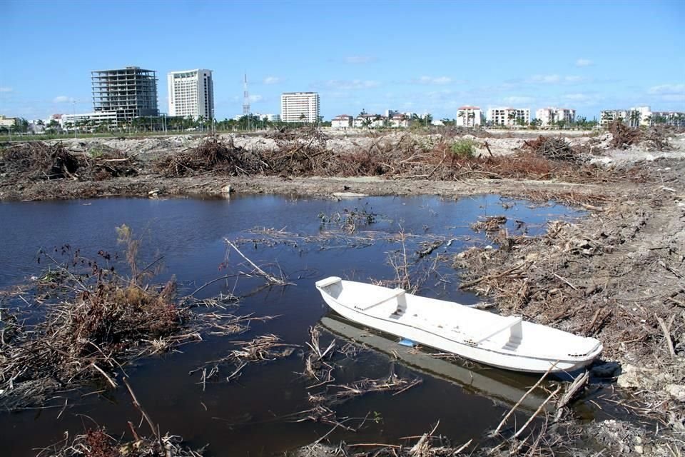 El Malecn Tajamar fue deforestado el ao pasado para edificar en esa zona un desarrollo inmobiliario.