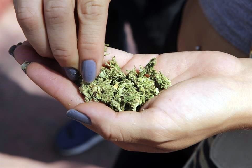 Un estudio revela que la legalizacin de la mariguana medicinal ha reducido la violencia fronteriza del narcotrfico en Mxico.