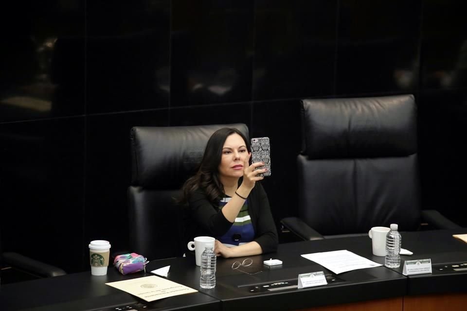 La Comisión de Relaciones Exteriores Organismos Internacionales, encabezada por Laura Rojas, impulsó la propuesta. 