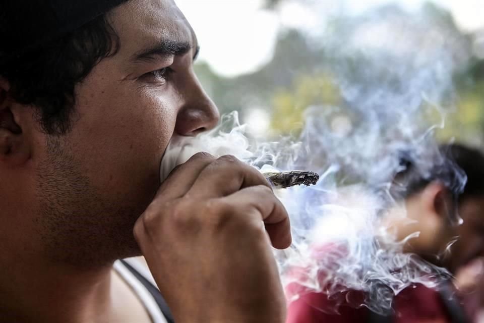 Como la ley prohíbe el consumo, la Cofepris niega los permisos, lo que a su vez provoca amparos.