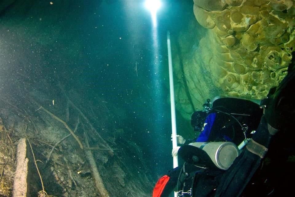 El proyecto inició en 2011 luego de que espeleobuzos descubrieron una inmensa oquedad al explorar una cueva inundada en plena selva de Tulum.