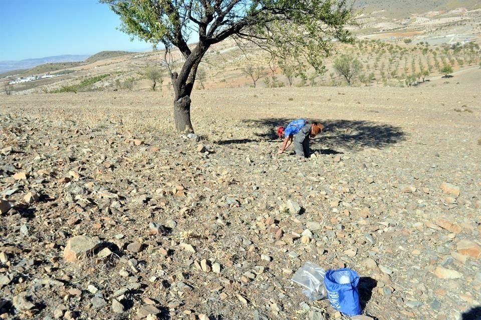 El geólogo José Antonio Lozano, responsable de la investigación, sobre el terreno de la cantera de la Rambla del Agua (Granada).