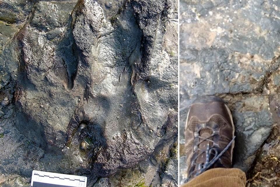 La huella, perteneciente a un dinosaurio carnívoro, fue descubierta en 2006. Así lucía antes del acto vandálico.