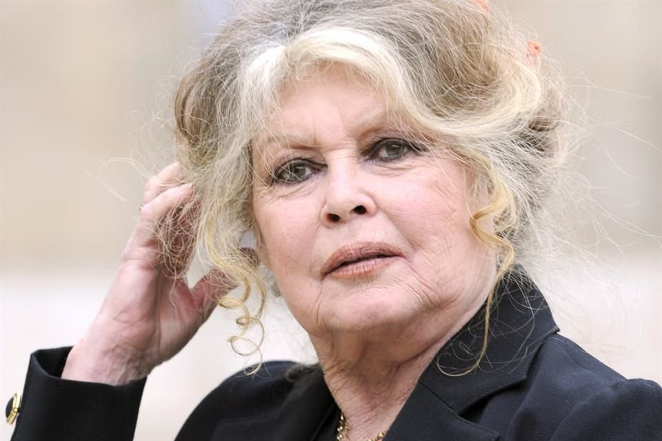 Brigitte Bardot editó un libro llamado 'Lágrimas de Combate', en el que habla del cáncer del mama que padeció, de su carrera e infancia.