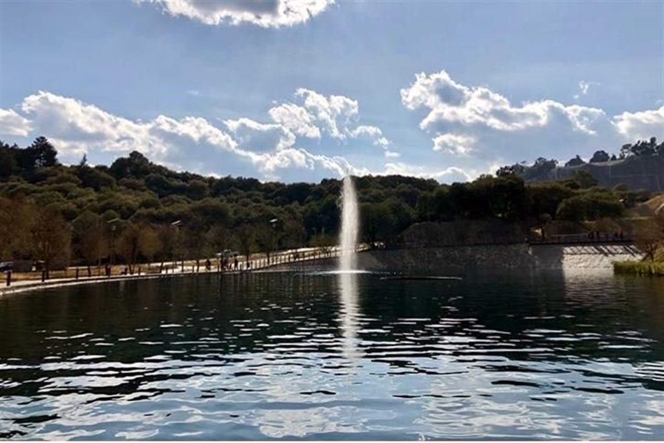 Según el director de Grupo Danhos, Jorge Gamboa, hasta antes de la apertura del parque, habían invertido mil 600 millones de pesos.