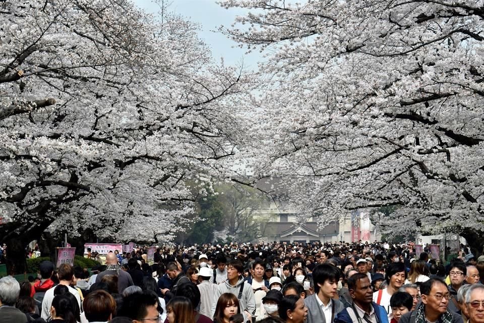 En 2018, Japón recibió 31.19 millones de turistas internacionales.