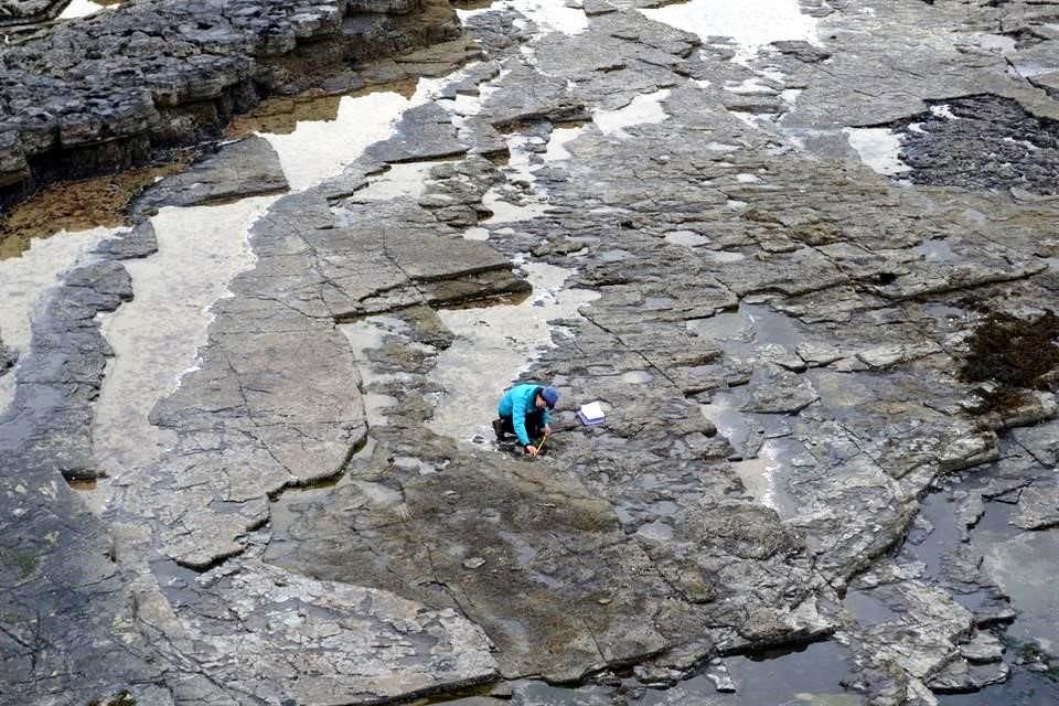 'Cuanto más investigamos en la Isla de Skye, más huellas de dinosaurios encontramos', señaló el doctor Steve Brusatte, de la Escuela de Geociencias de la Universidad de Edimburgo..