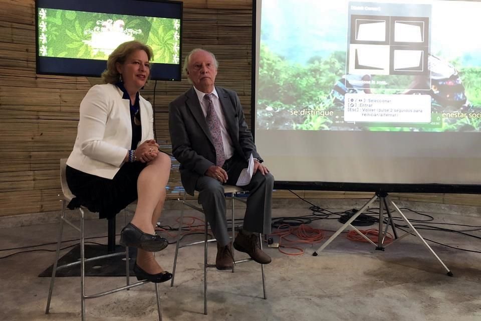 Josefa González Blanco, propuesta para encabezar la Secretaría de Medio Ambiente y Recursos Naturales (Semarnat), afirmó que los decretos son inconstitucionales.