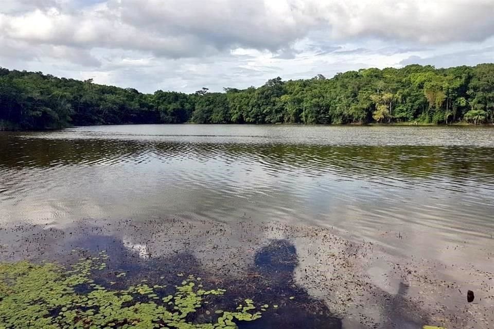 La laguna de Chakanbakán, ubicada en el Municipio de Othón P. Blanco, desapareció en 24 horas tras la formación de un socavón.