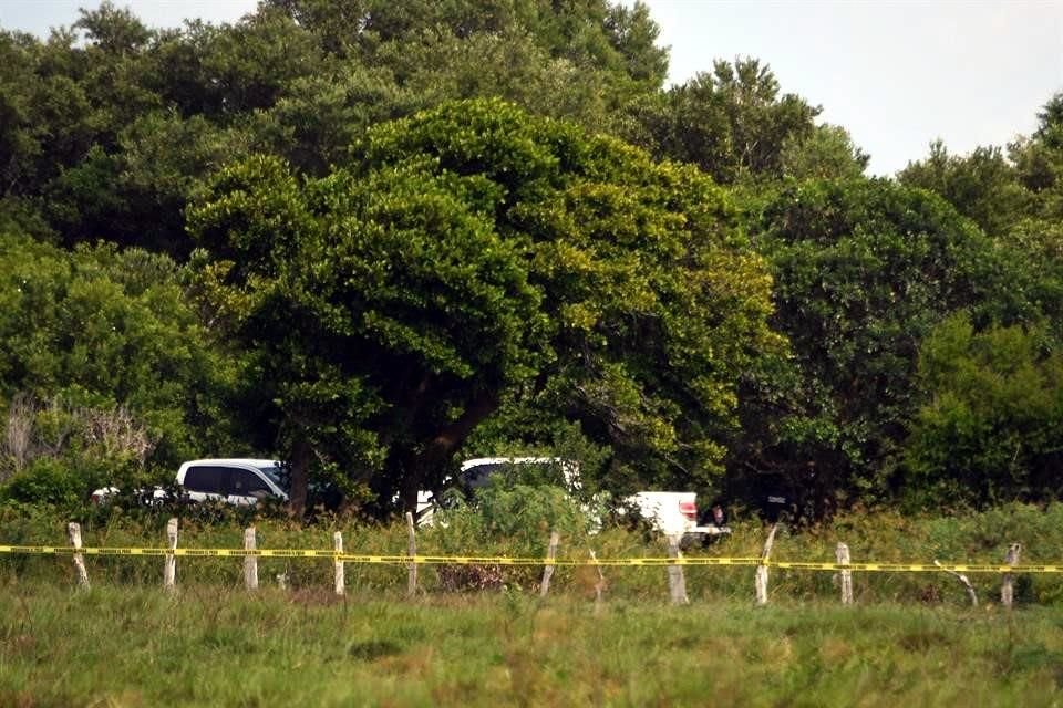 Las fosas fueron localizadas en la comunidad de Arbolillo, en el Municipio de Alvarado.