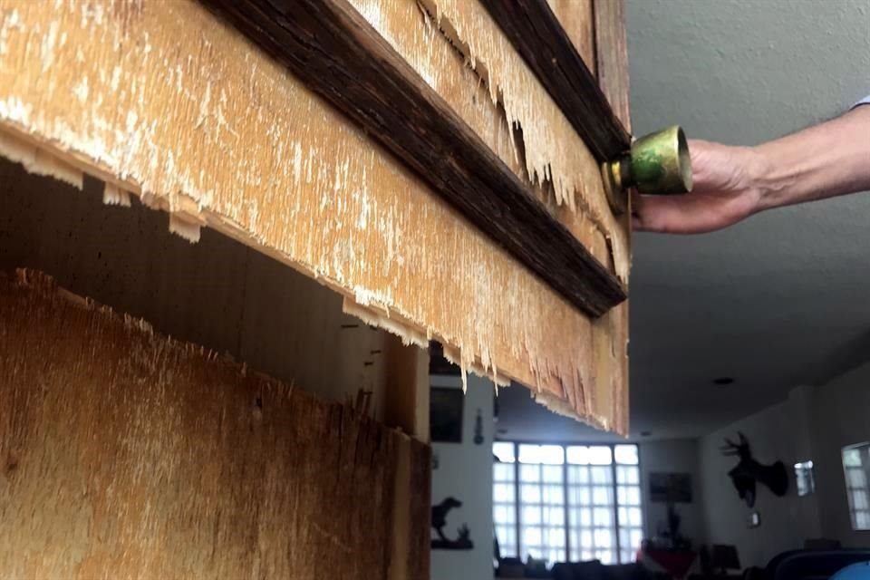 Los estados con el número más bajo de homicidios enfrentan otra disyuntiva en materia de seguridad: el alza de delitos patrimoniales.