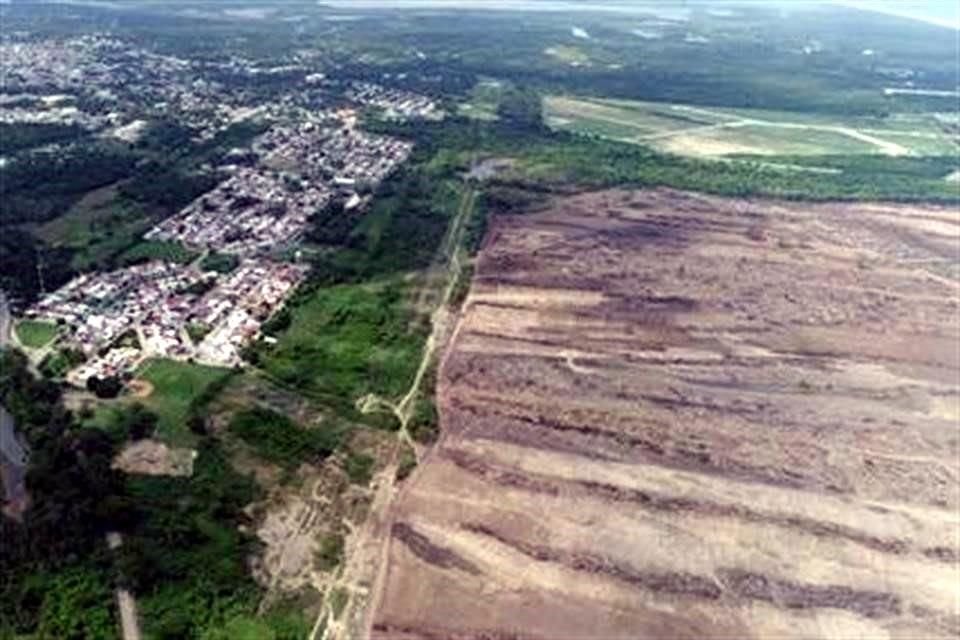 El Centro Mexicano de Derecho Ambiental denunció el desmonte de unas 300 hectáreas de selva y manglar para la nueva refinería en Tabasco. 
