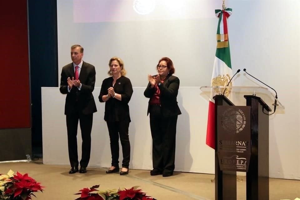 Blanca Alicia Mendoza ha impartido clases en la Facultad de Derecho de la Universidad Nacional Autónoma de México desde 1986, de cuyo Consejo Técnico forma parte como Consejera Propietaria.