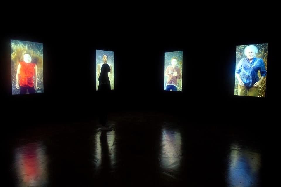 Incluye instalaciones del videoartista de EU Bill Viola y dibujos del genio del Renacimiento italiano Miguel Ángel.