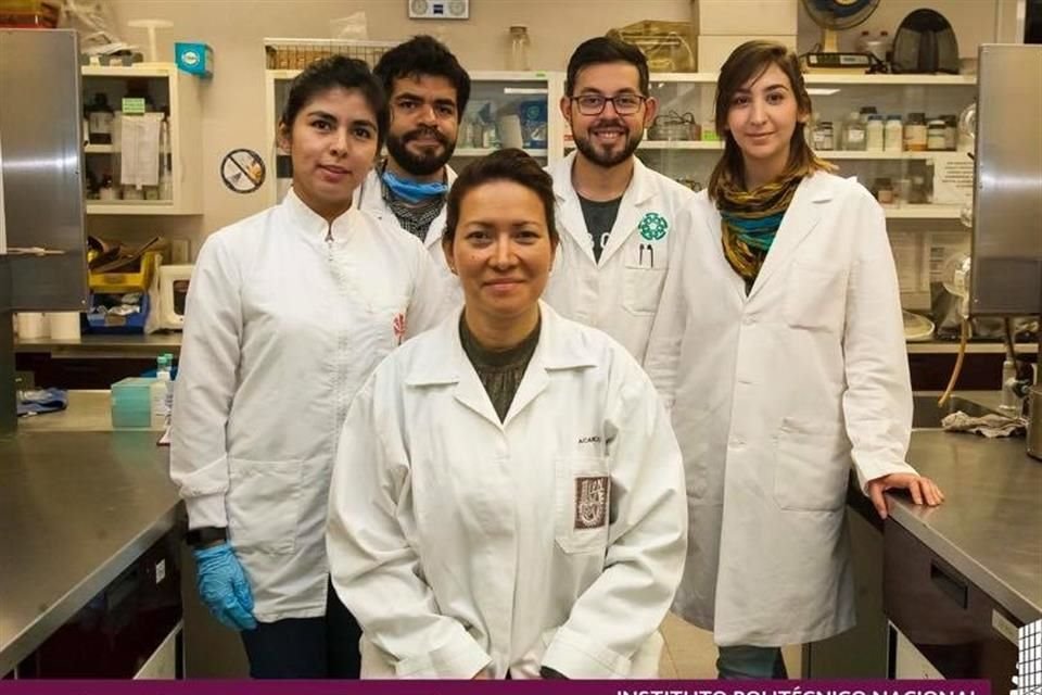 La investigadora Eva Ramón Gallegos y su equipo lograron eliminar el VPH en 29 mujeres sin lesiones cancerígenas.