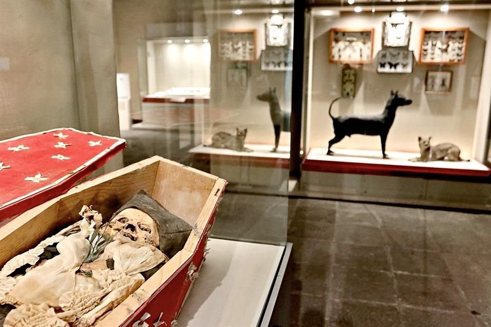 La muestra resume ocho años de investigación de especialistas del INAH en el análisis y preservación de cuerpos humanos momificados.