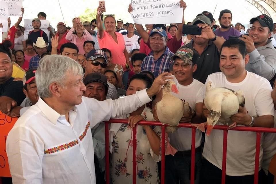 Los gansos pasaron frente a las vallas donde convivieron un poco más con el Presidente, quien aceptó llevarselos por lo que su Ayudantía los cargó a una de las camionetas.