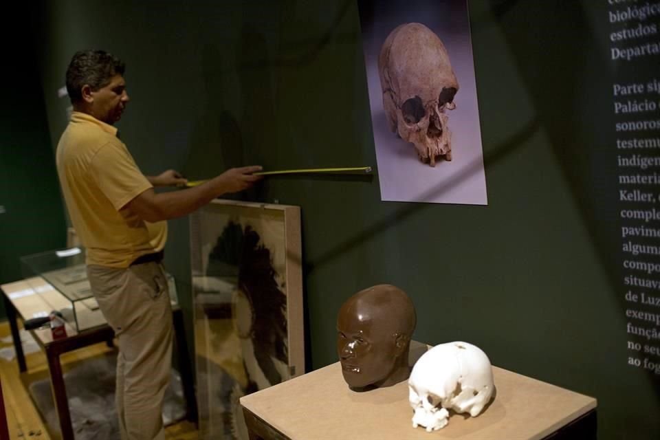 Algunso restos fósiles fueron rescatados de los escombros que dejó un incendio en el Museo Nacional de Brasil.