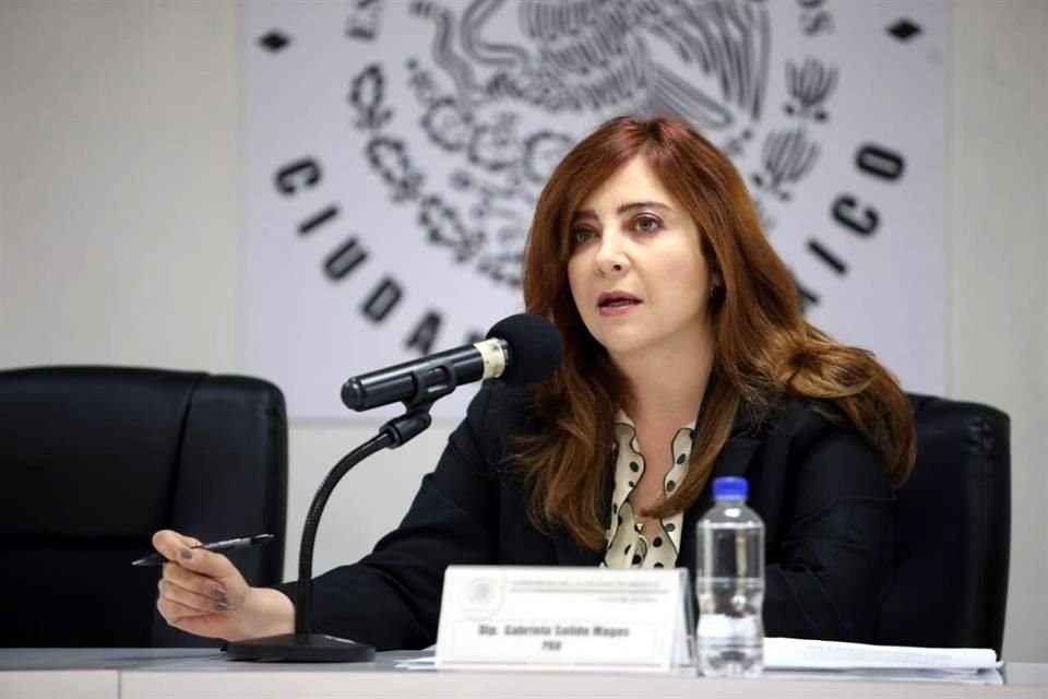 La diputada Gabriela Salido, del PAN, presentará una iniciativa que contempla obligar a empresas instalar su infraestructura en el subsuelo, en polígonos establecidos.