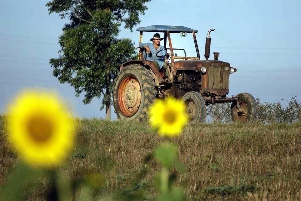 El tabasqueño pidió tiempo para que el programa avance y pueda evolucionar hacia los medianos y grandes productores del campo.