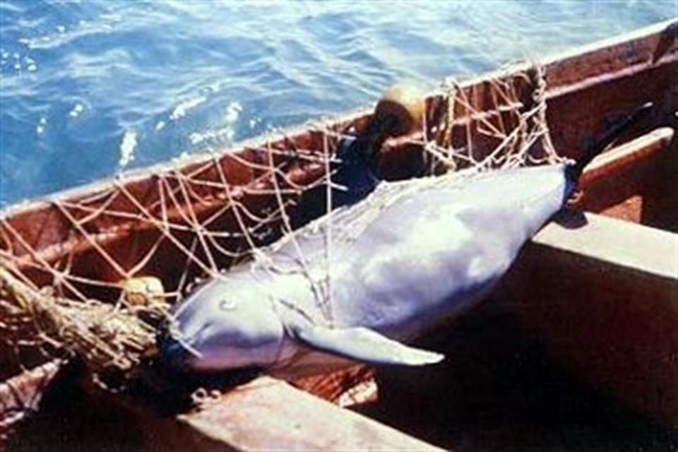 Especialistas de Estados Unidos participaron en las labores para el traslado del cuerpo.