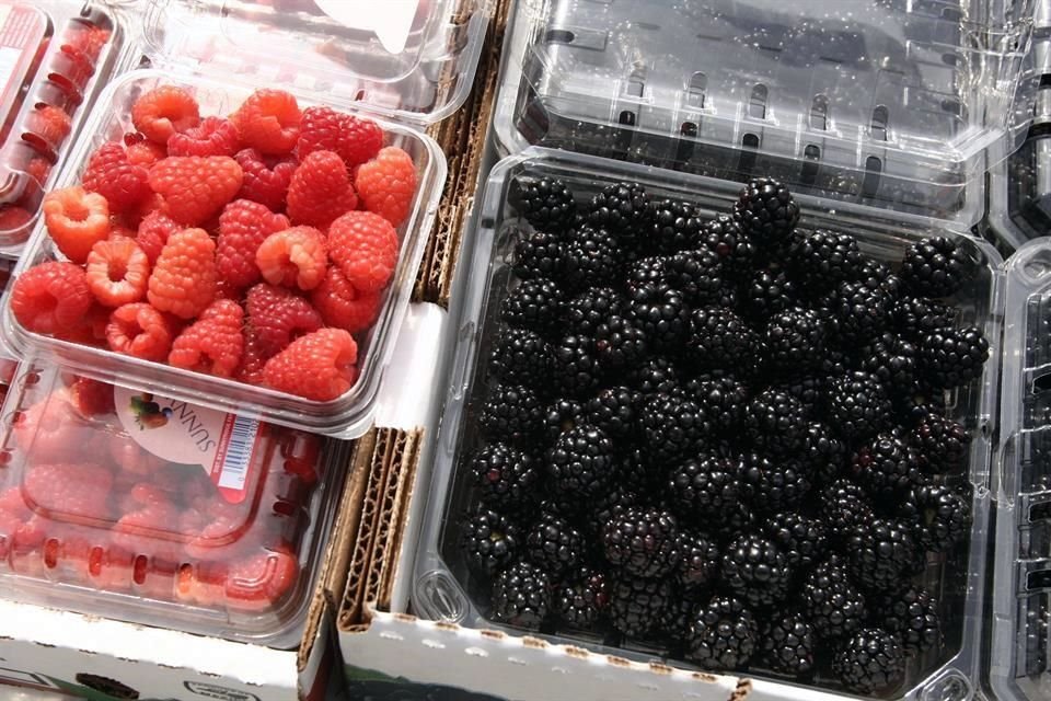 México exportó 364 mil toneladas de arándanos, zarzamoras, fresas y frambuesas, con un valor de 2 mil 241 millones de dólares en 2018, según la Aneberries. 