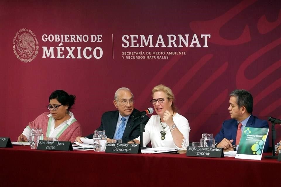 Recordó que hay una comisión que encabeza la Semarnat, y en la que también se encuentran funcionarios de la Secretaría de Gobernación, en la que se analizan soluciones para combatir el sargazo.