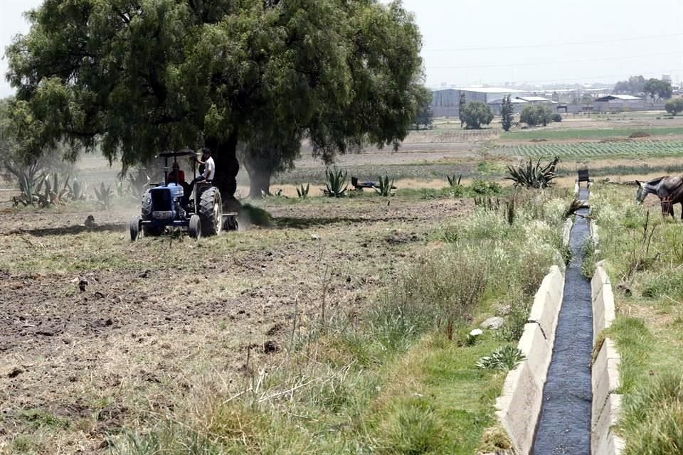 Terrenos ubicados en las inmediaciones de la Base Aérea, donde el Gobierno federal planea construir el aeropuerto de Santa Lucía.